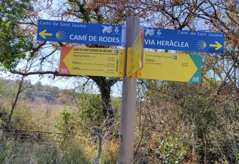 Camino Santiago