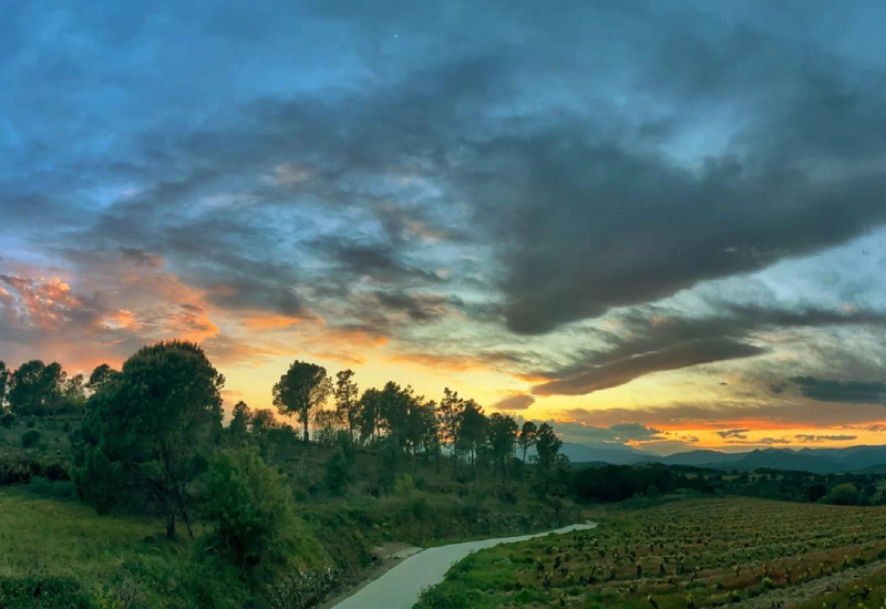 Caminos Vilamaniscle